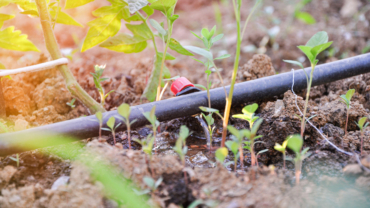 Secure Water Systems