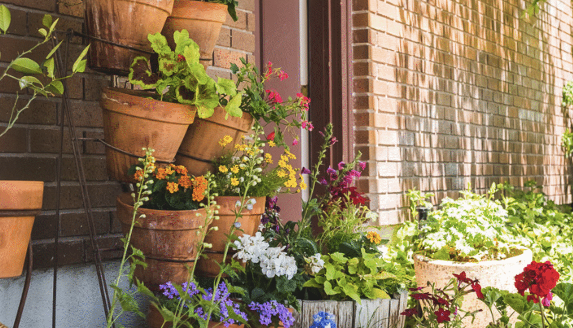 Creative Garden Design