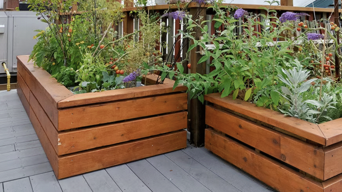 Small Terrace Garden