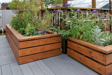 Small Terrace Garden