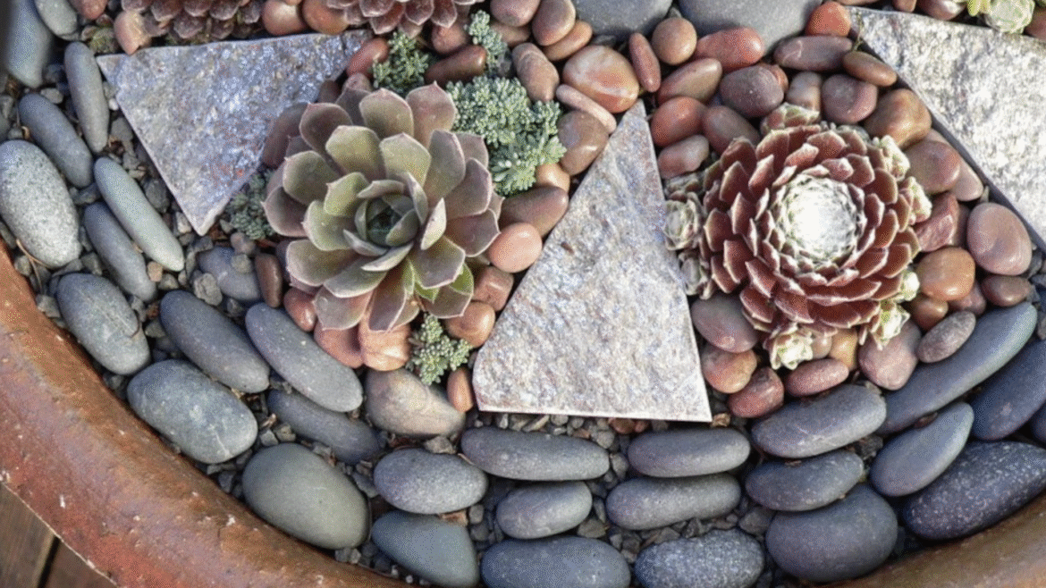 Decorative Stones & Pots
