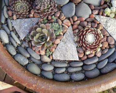 Decorative Stones & Pots