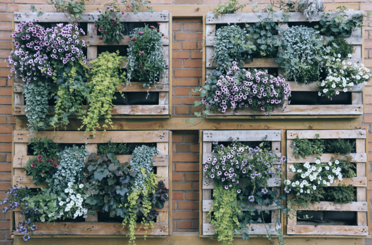 Planting a DIY Vertical Garden