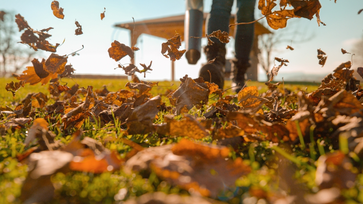 Types of Garden Jobs and Careers