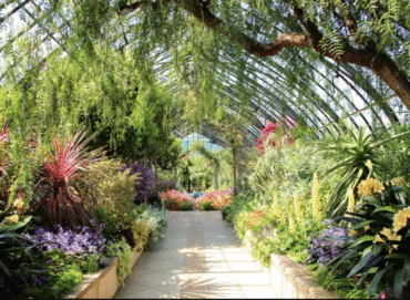 Best Public Gardens in the United States