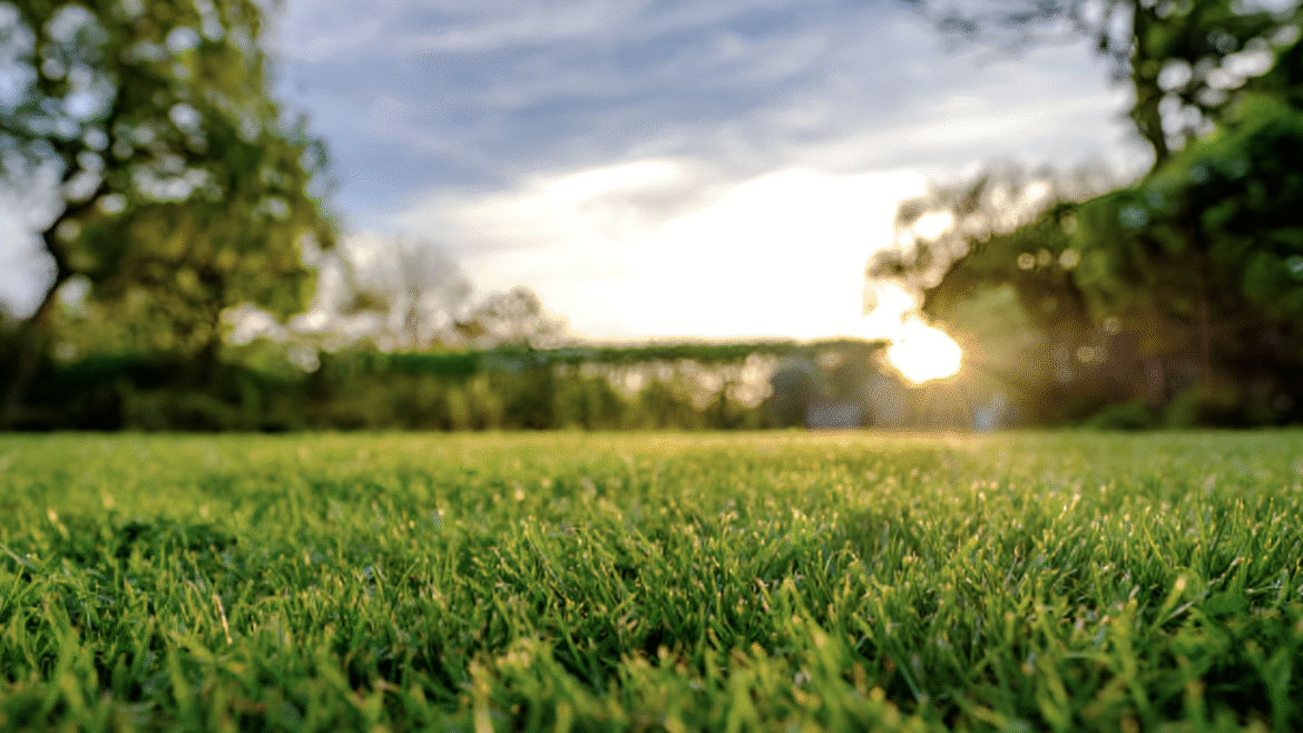 How to Create Beautiful Landscape with Flat Lawn and Garden