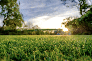 How to Create Beautiful Landscape with Flat Lawn and Garden