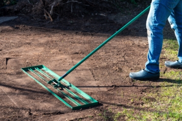 Spotless Lawn Grass