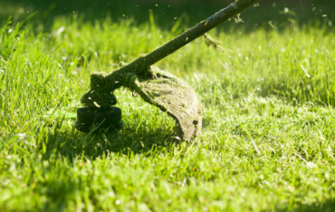 Gardening Lessons